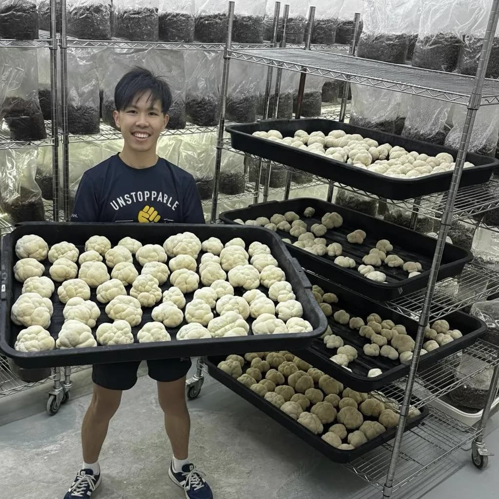 Mr Fungus Cultivation Facility